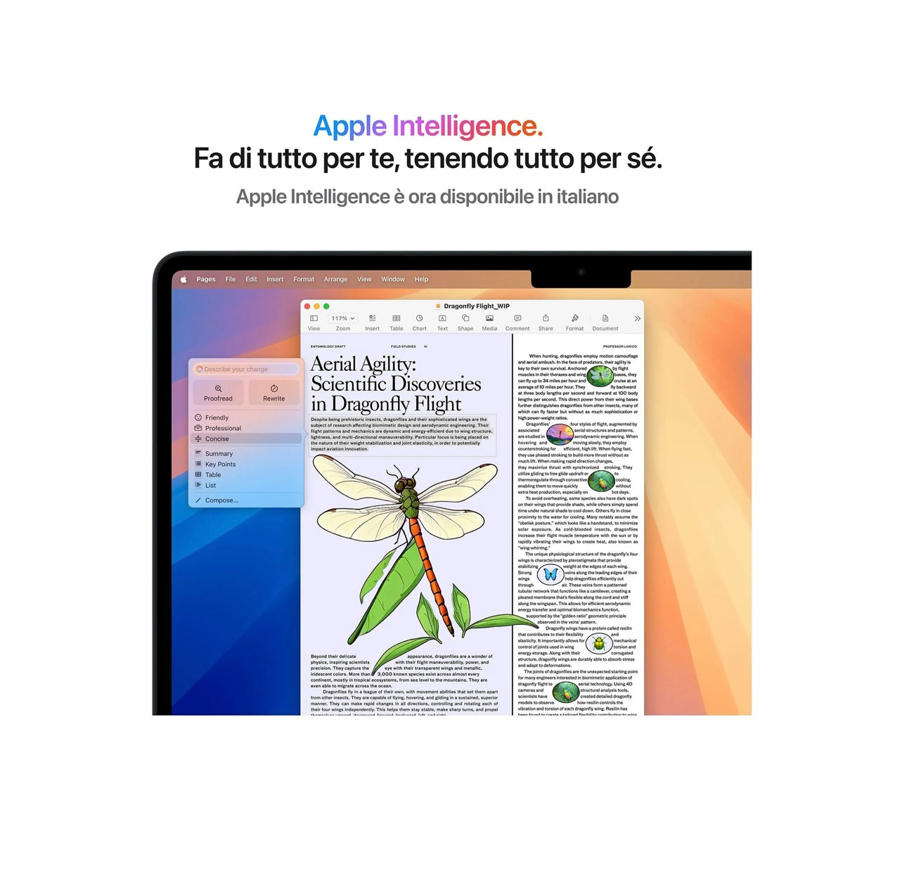 APPLE MacBook Air 13'', Chip M4, 10 CPU 8 GPU, 16GB, 256GB, Mezzanotte