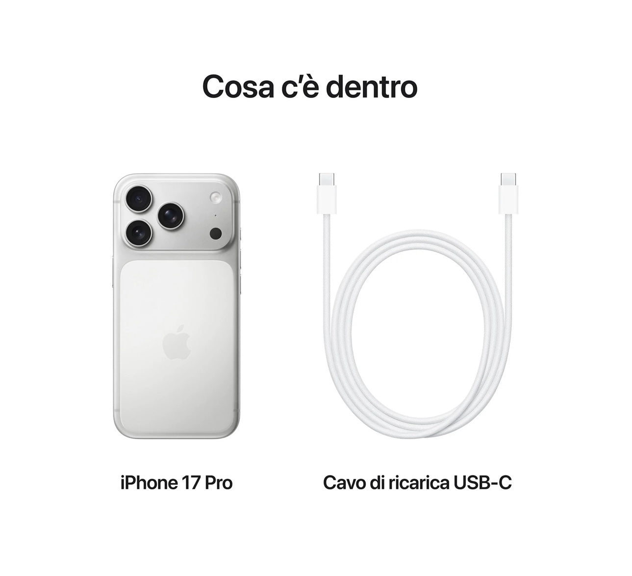 APPLE iPhone 17 Pro Max 256GB Argento